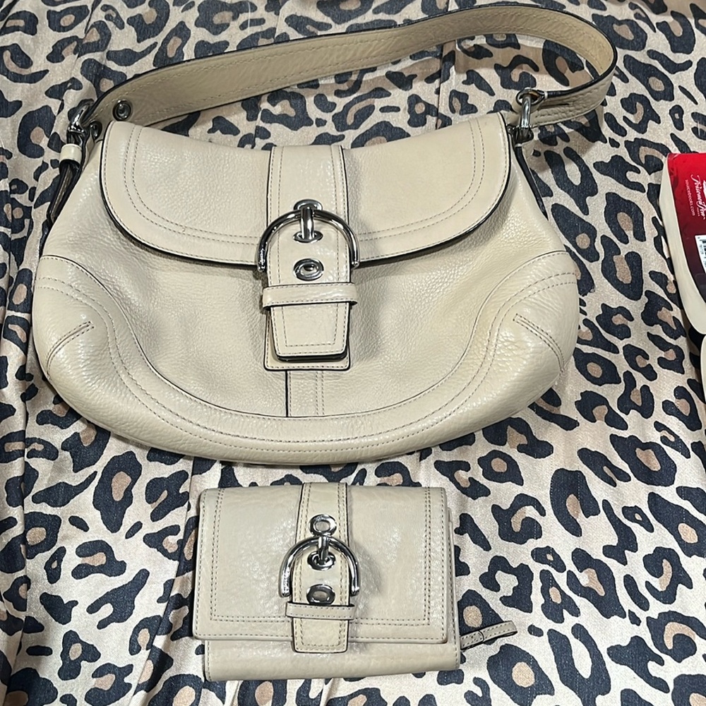 Couch bag and Wallet